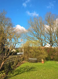 WP_20160225_12_23_59_Pro