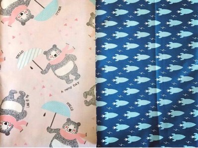 14699929_10210655464168374_1626746773_n